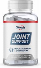 GL Joint Support (90 порций)