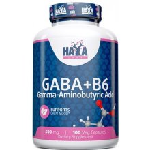 GABA + B-6 500mg HL 100 Vcaps