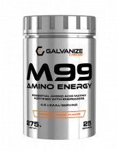 Galvanize M99 (25 порций)