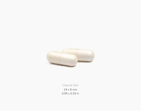 MXL Creatine 1000 (100 капсул)